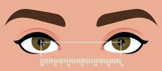 Pupillary Distance – I Need Spex